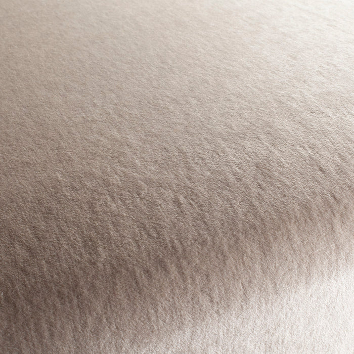 Jab Anstoetz Noblesse 072 Fabric JA3012-072
