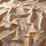 Jab Anstoetz Belinda 061 Fabric JA7128-061
