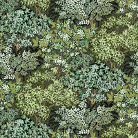 Kravet Couture Broccoli Canpoy 11 Wallpaper JMW1004.11.0