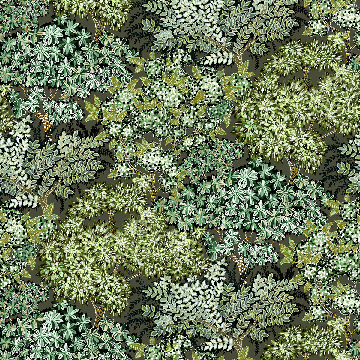Kravet Couture Broccoli Canpoy 11 Wallpaper JMW1004.11.0