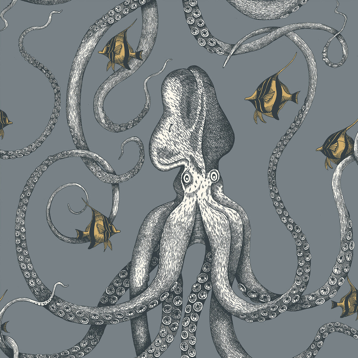 Kravet Couture Octopoda Grand 11 Wallpaper Sample JMW1030.11.0