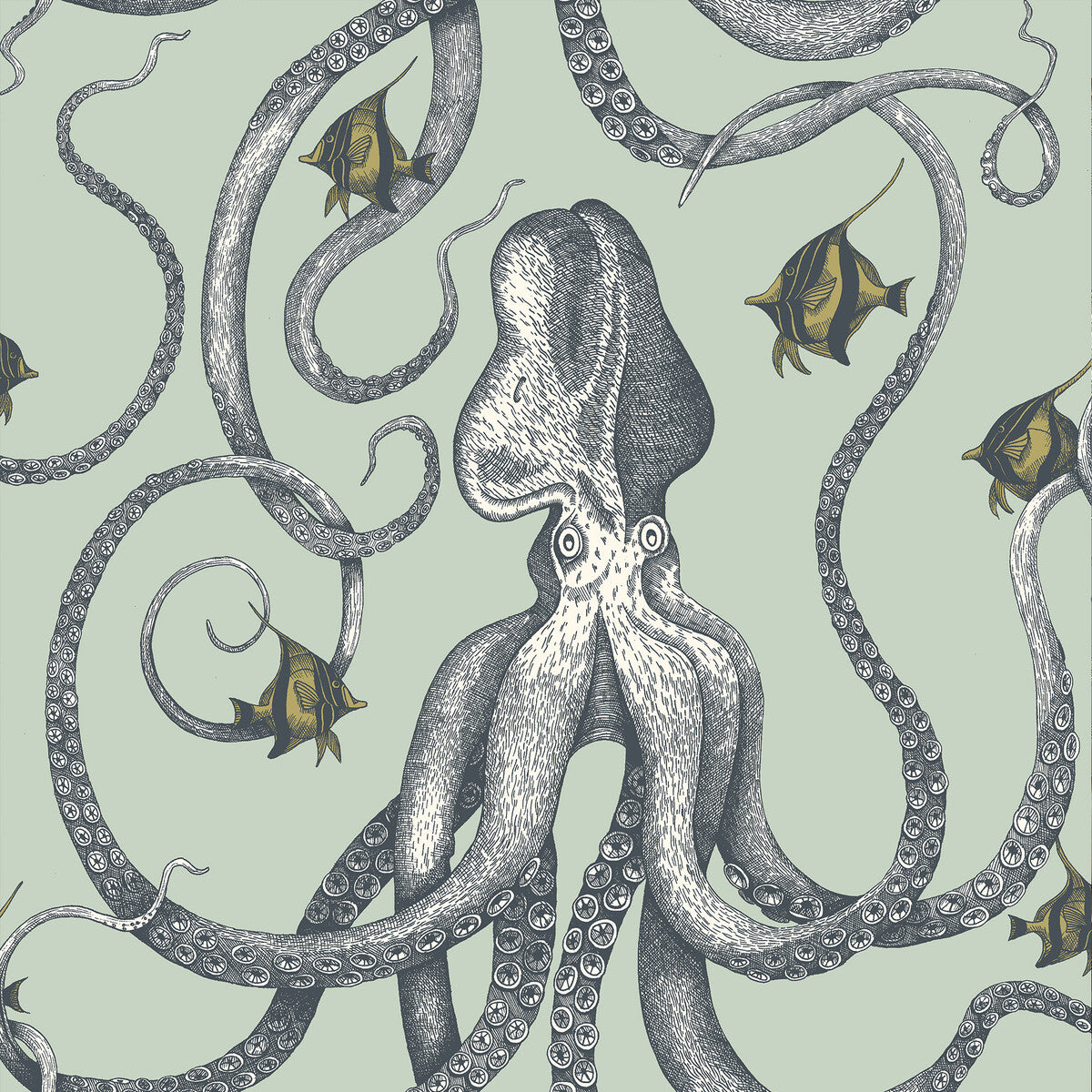 Kravet Couture Octopoda Grand 21 Wallpaper Sample JMW1030.21.0