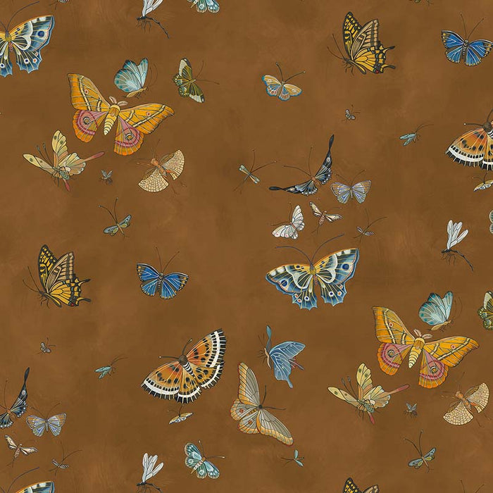 Kravet Couture Butterflies Brown Wallpaper JMW1043.11.0