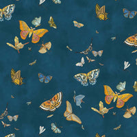 Kravet Couture Butterflies Bright Navy Wallpaper JMW1043.21.0