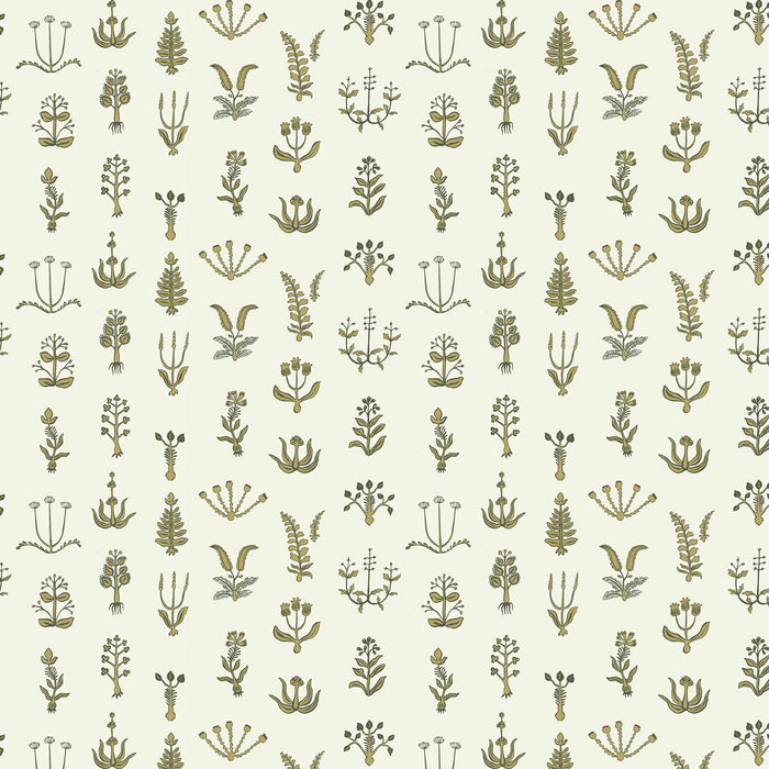 Kravet Couture Floral Spot 02 Wallpaper Sample JMWRFLO.02.0