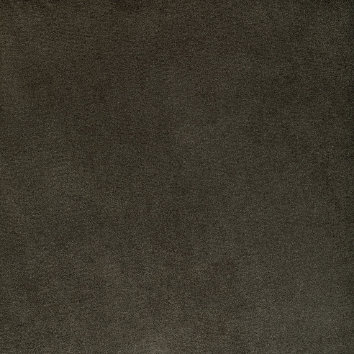 Kravet Contract Rocco Velvet Seal Fabric Sample KW-10065.3685MG21.0