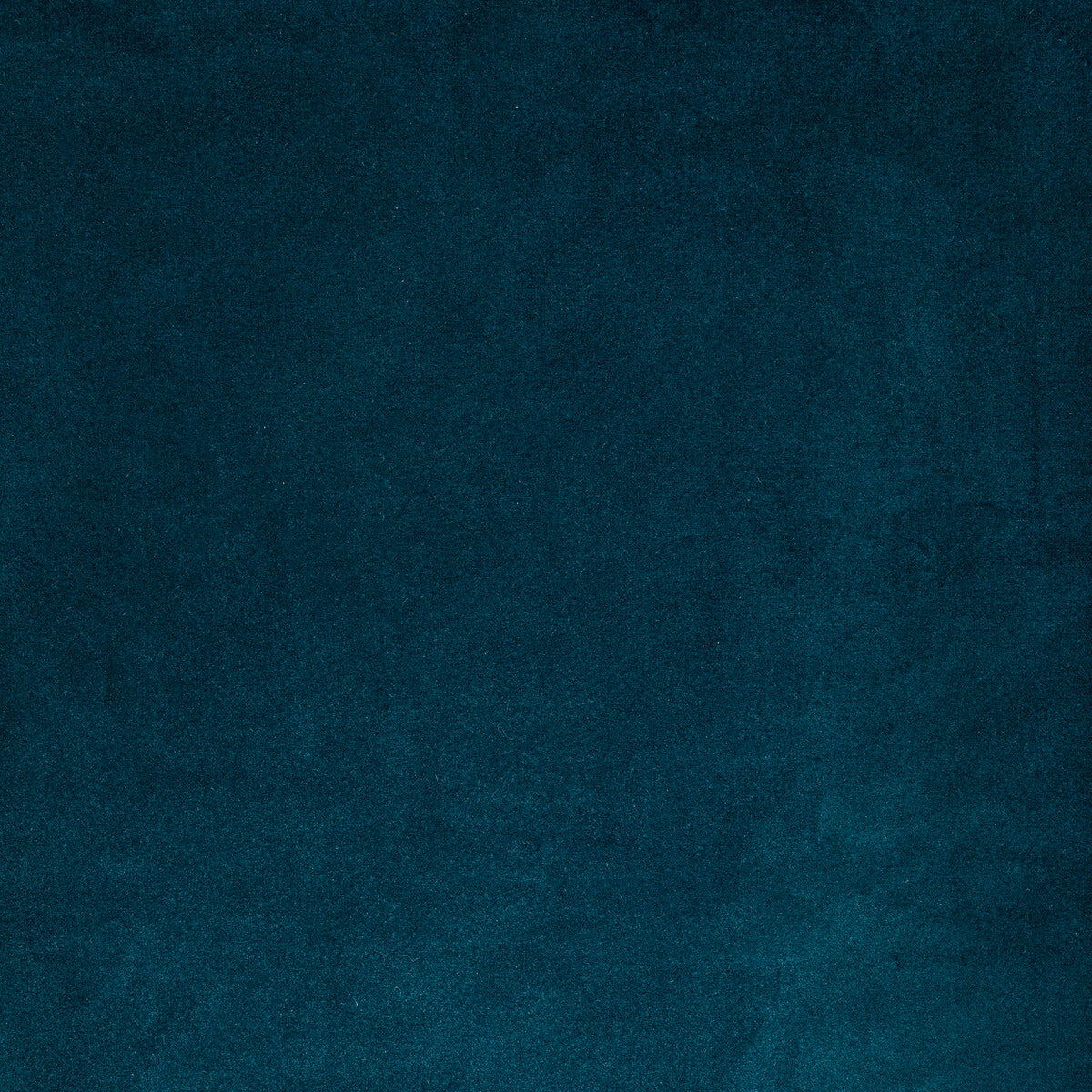 Kravet Contract Rocco Velvet Ink Fabric Sample KW-10065.3685MG57.0