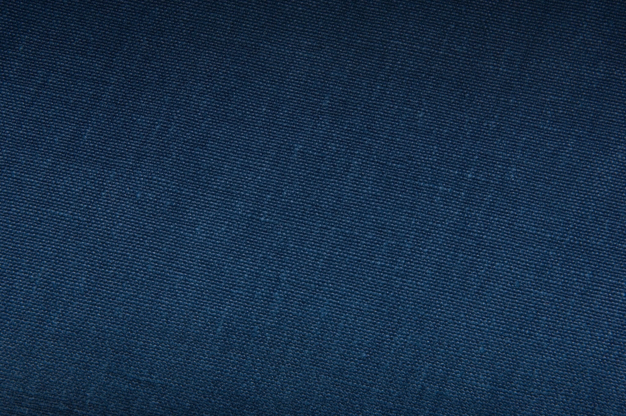 Pierre Frey Dolino Indigo Fabric Sample F2919014