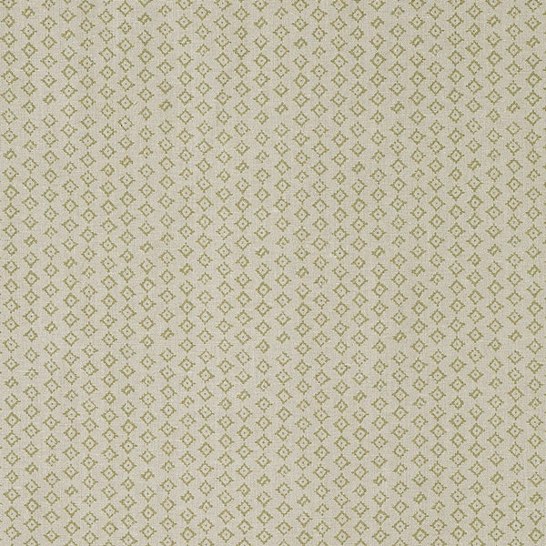 Peter Dunham Kumbh Celadon/Natural Fabric Sample 111KMB01