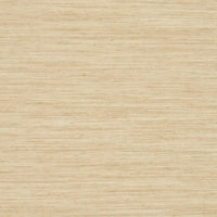 Pierre Frey Liam Sable Wallpaper FP919002