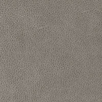 Kravet Design L-BISON.ARMOR.0 L-Bison-Armor Fabric