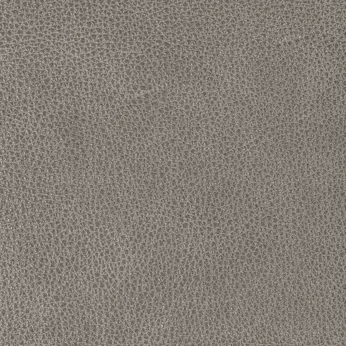Kravet Design L-BISON.ARMOR.0 L-Bison-Armor Fabric