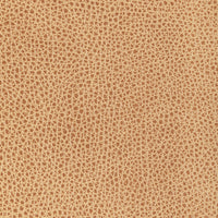 Kravet Design L-BISON.BISCOTTI.0 L-Bison-Biscotti Fabric