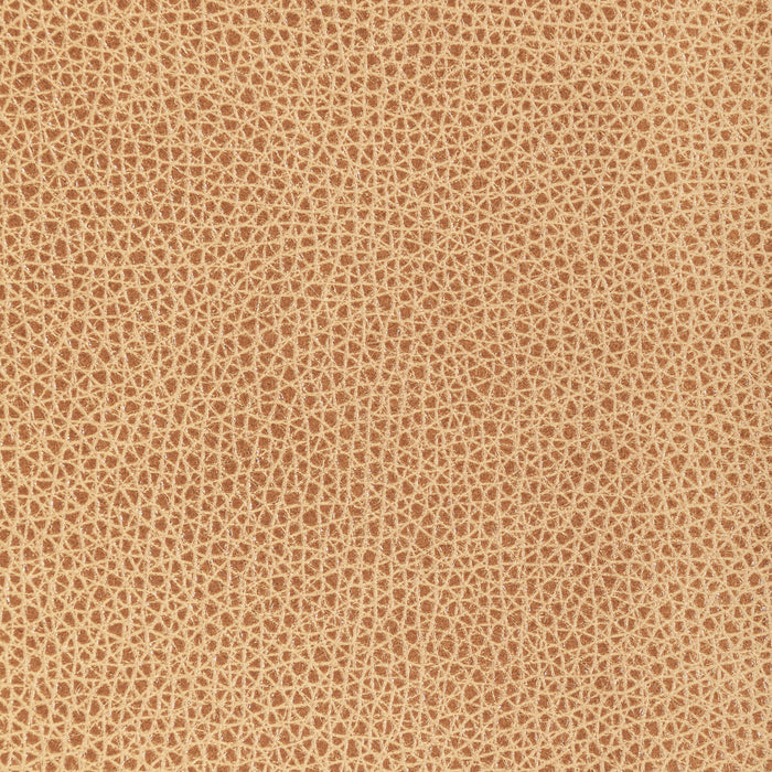 Kravet Design L-BISON.BISCOTTI.0 L-Bison-Biscotti Fabric