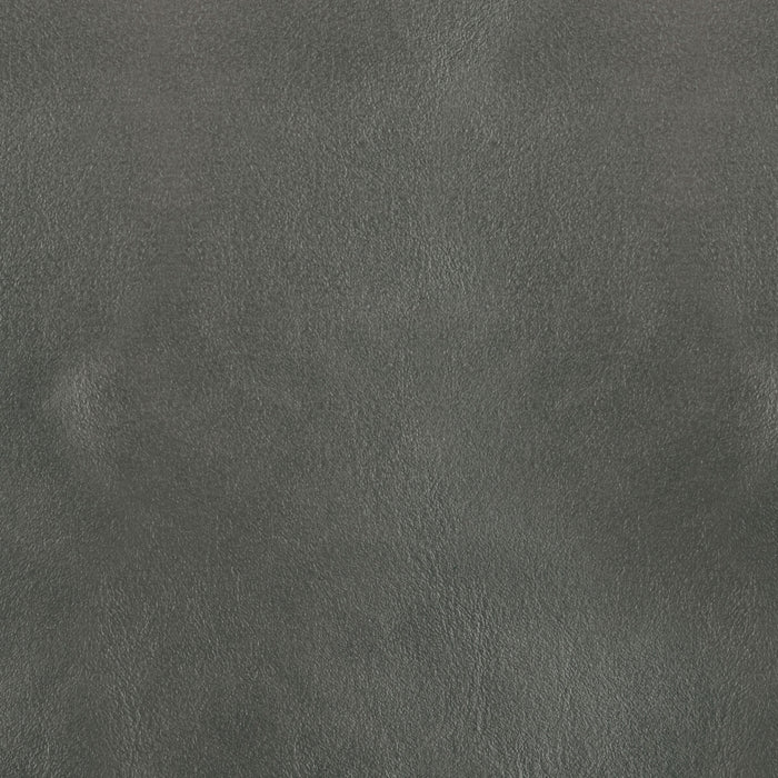 Kravet Design L-BOTA.COIN.0 L-Bota-Coin Fabric Sample