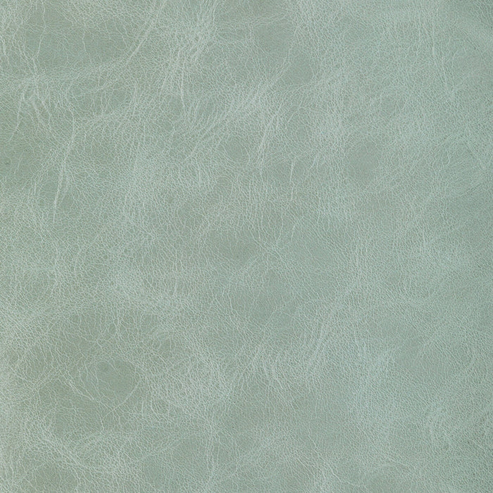 Kravet Design L-Brantley Sage Fabric Sample L-BRANTLEY.SAGE.0
