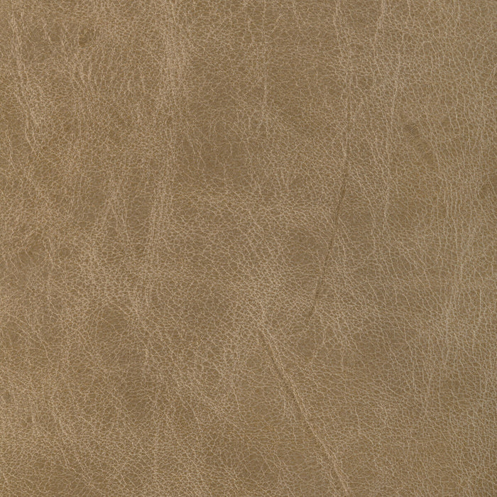 Kravet Design L-Brantley Tan Fabric L-BRANTLEY.TAN.0