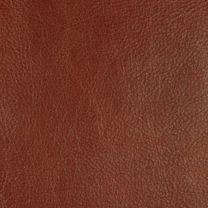Kravet Design L-CANNON.SIENNA.0 L-Cannon-Sienna Fabric