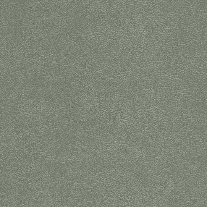 Kravet Design L-CIMARRON.ELEPHANT.0 L-Cimarron-Elephant Fabric