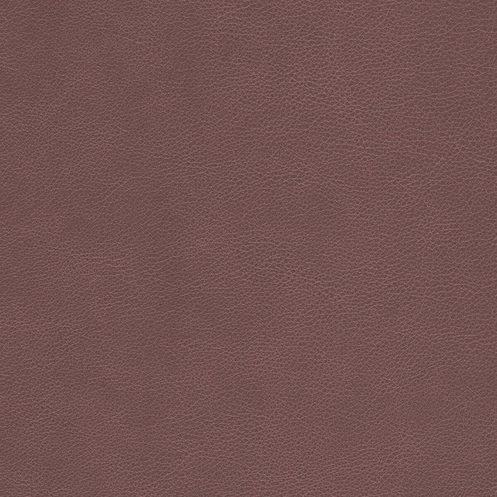 Kravet Design L-CIMARRON.WHISKEY.0 L-Cimarron-Whiskey Fabric Sample