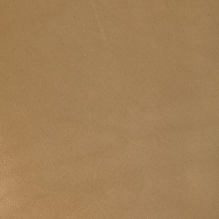 Kravet Design L-COIRO.CAMEL.0 L-Coiro-Camel Fabric Sample