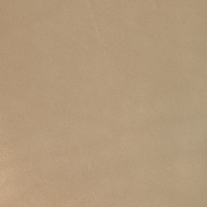 Kravet Design L-COIRO.TAN.0 L-Coiro-Tan Fabric Sample