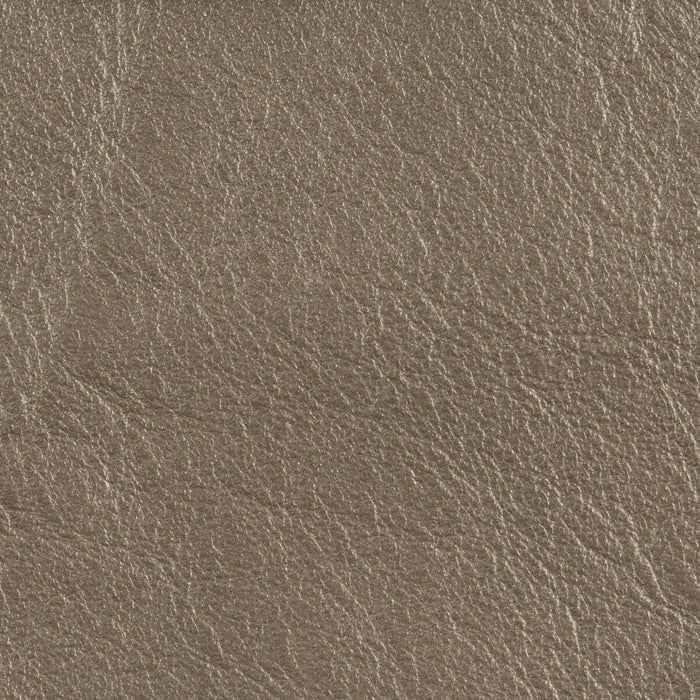 Kravet Design L-Country Platinum Fabric Sample L-COUNTRY.PLATINUM.0