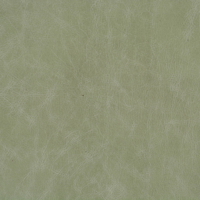 Kravet Design L-CUERO.EUCALYPTUS.0 L-Cuero-Eucalyptus Fabric Sample