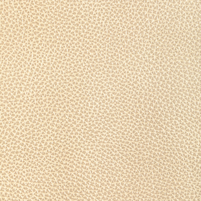 Kravet Design L-DIXIE.CHAMPAGNE.0 L-Dixie-Champagne Fabric