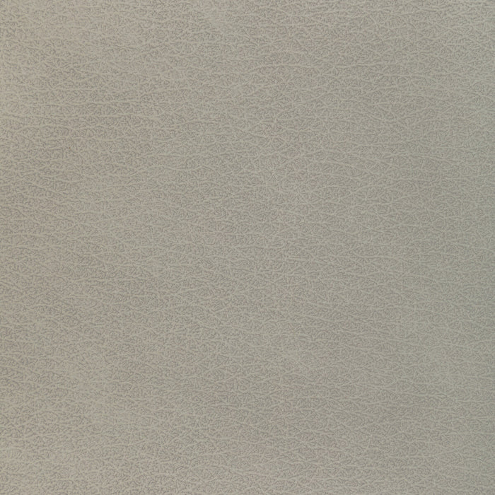 Kravet Design L-EL VADO.STONE.0 L-El Vado-Stone Fabric Sample