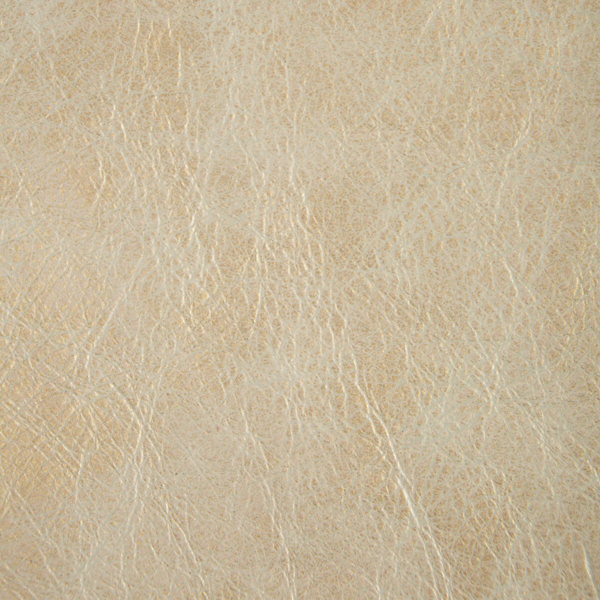 Kravet Couture L-Gilded Platinum Fabric L-GILDED.PLATINUM.0