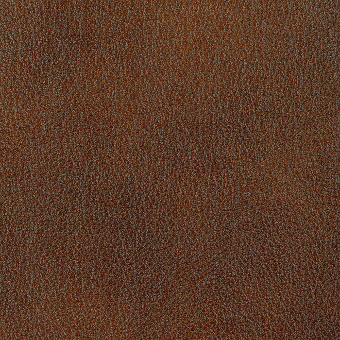 Kravet Design L-HOLT.SYRUP.0 L-Holt-Syrup Fabric