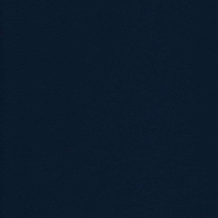 Kravet Design L-HOWDY.ADMIRAL.0 L-Howdy-Admiral Fabric Sample
