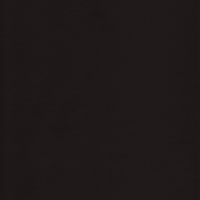 Kravet Design L-HOWDY.CAPPUCCINO.0 L-Howdy-Cappuccino Fabric