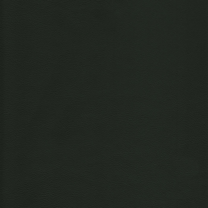 Kravet Design L-HOWDY.EVERGREEN.0 L-Howdy-Evergreen Fabric Sample