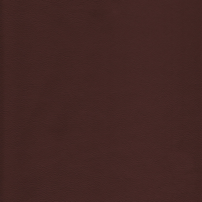 Kravet Design L-HOWDY.LATTE.0 L-Howdy-Latte Fabric Sample