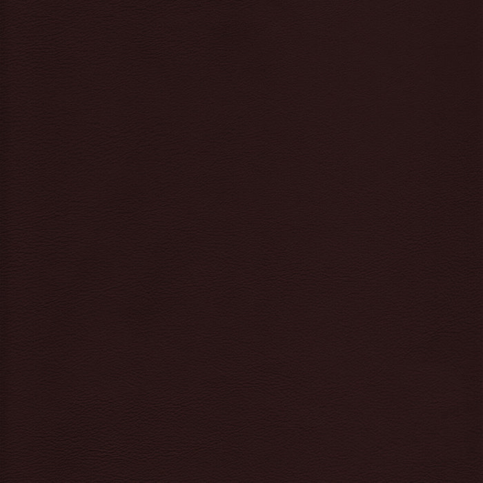 Kravet Design L-HOWDY.MOCHA.0 L-Howdy-Mocha Fabric Sample