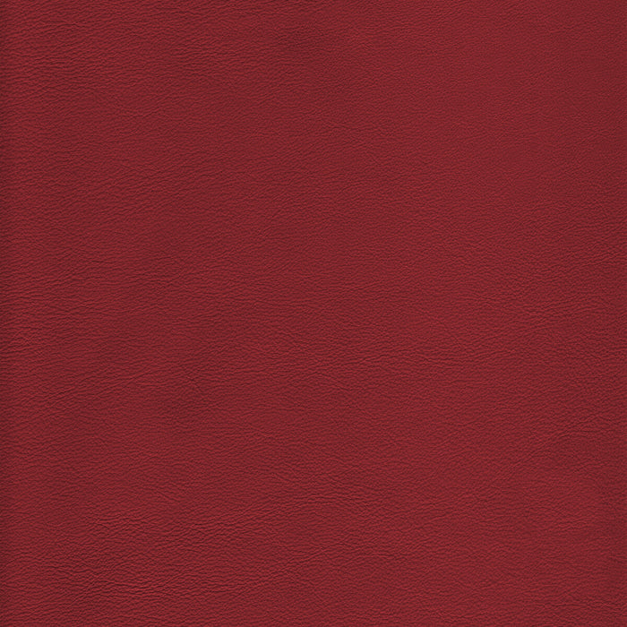 Kravet Design L-HOWDY.SALSA.0 L-Howdy-Salsa Fabric