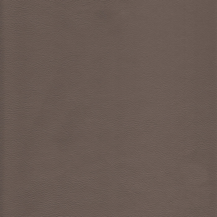 Kravet Design L-HOWDY.TAUPE.0 L-Howdy-Taupe Fabric Sample
