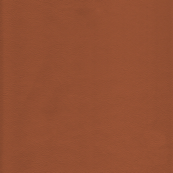 Kravet Design L-HOWDY.TOFFEE.0 L-Howdy-Toffee Fabric