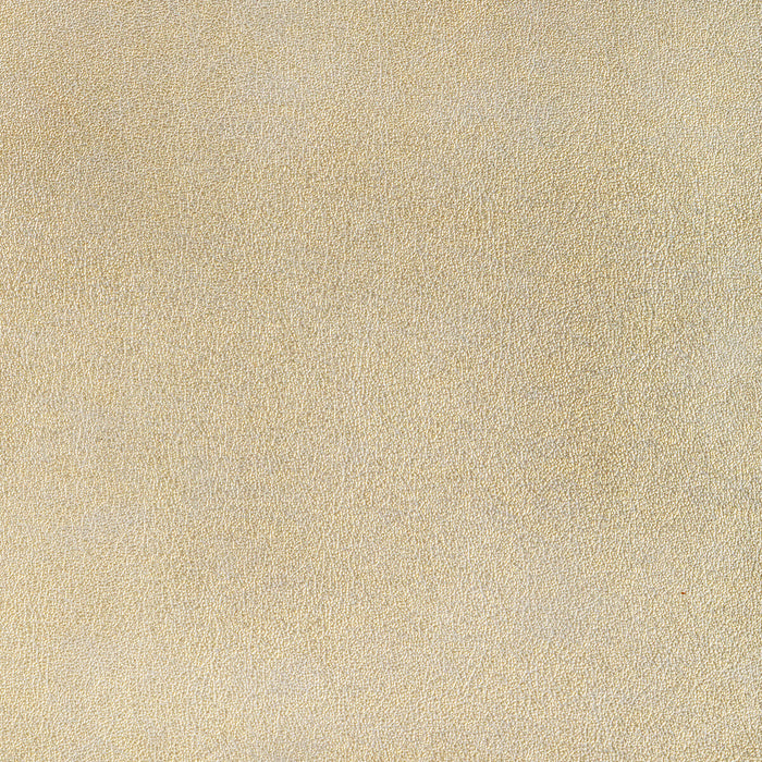 Kravet Design L-LOSALTOS.GOLD DUST.0 L-Losaltos-Gold Dust Fabric Sample