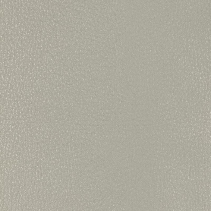 Kravet Design L-MALPAIS L-Malpais-Stone Fabric Sample L-MALPAIS.STONE.0