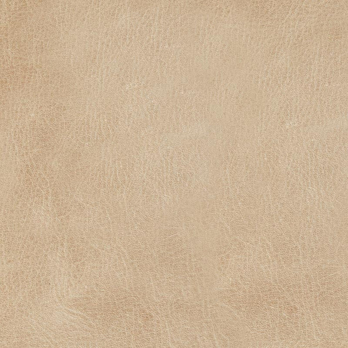 Kravet Design L-MANE L-Mane-Drift Fabric Sample L-MANE.DRIFT.0