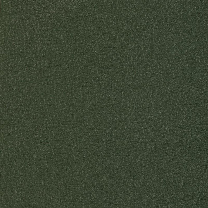 Kravet Design L-MANZANO L-Manzano-Sage Fabric Sample L-MANZANO.SAGE.0