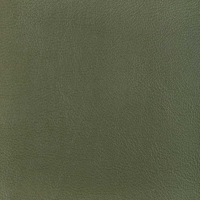 Kravet Design L-OCOTILLO.HUNTER.0 L-Ocotillo-Hunter Fabric