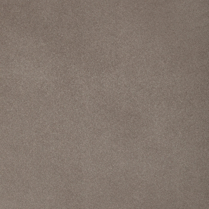 Kravet Design L-SAHARA.MUSHROOM.0 L-Sahara-Mushroom Fabric Sample