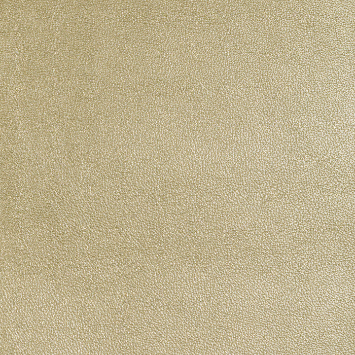 Kravet Design L-SIERRA.GLIMMER.0 L-Sierra-Glimmer Fabric Sample
