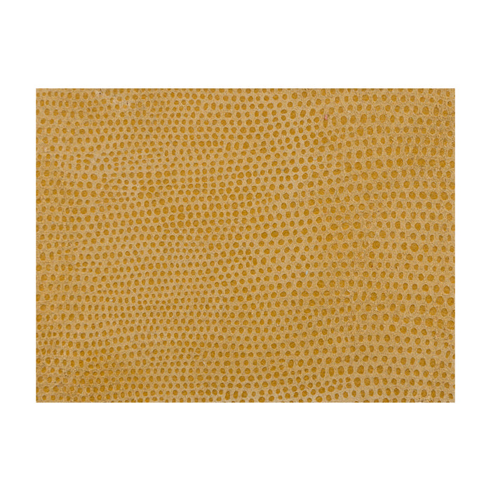 Kravet Design L-Vavoom Coin Fabric L-VAVOOM.COIN.0