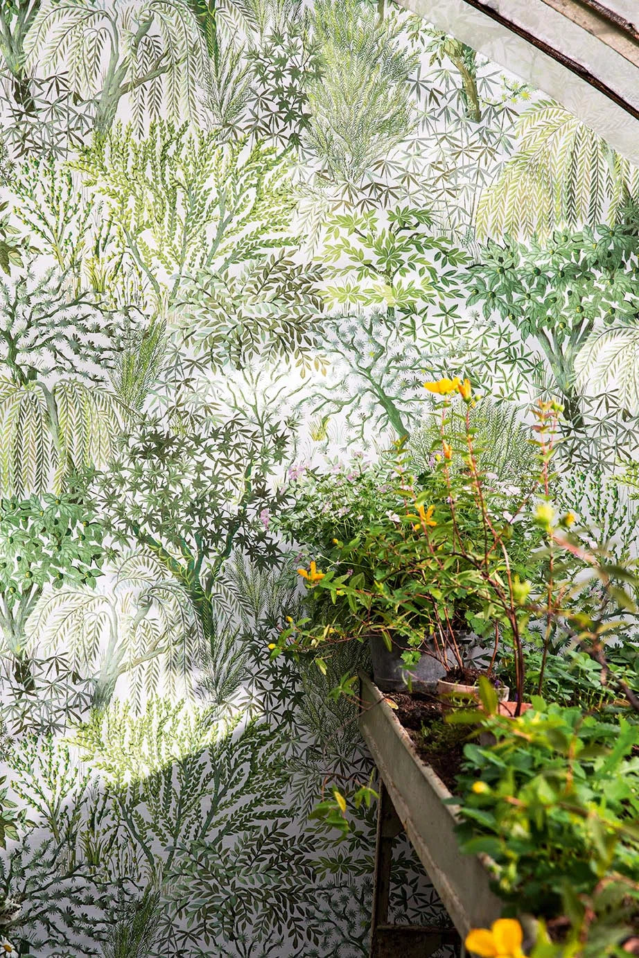 Pierre Frey Eldorado Verdure FP104001 Sample | 40% Off (Samples)