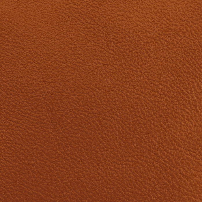 Donghia Lucky Leather Adobe Fabric L6021108.ADOBE.0